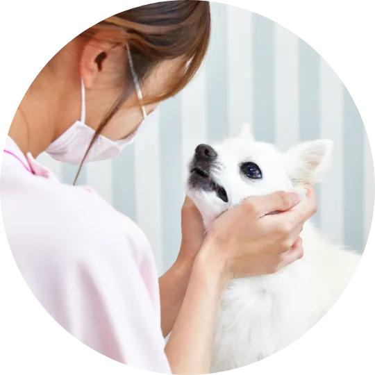 豊かなペットライフをめざした情報発信