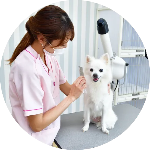 健康を守るメディカルトリミング